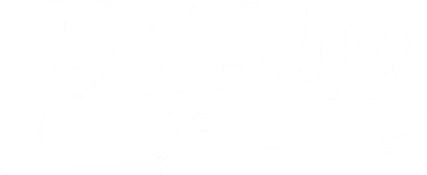 pzbuk.co